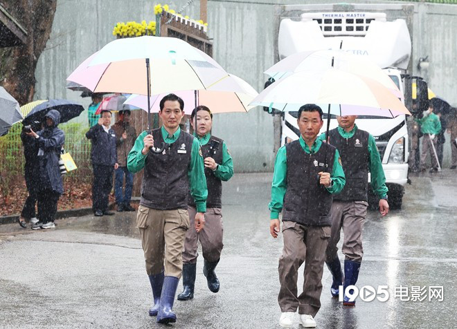 熊猫福宝主演动画纪录片《再见，爷爷》将在大银幕上映 -2