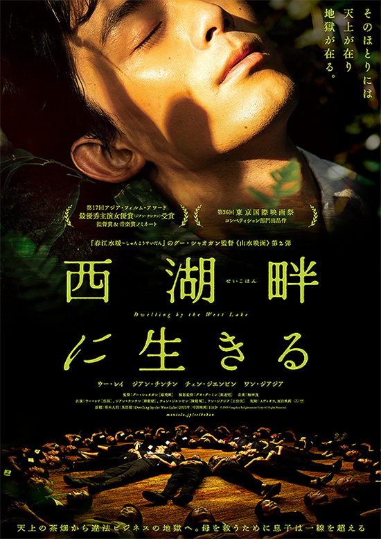 吴磊和蒋勤勤主演《草木人间》，日本版海报发布，电影将于9月27日在日本上映 -1