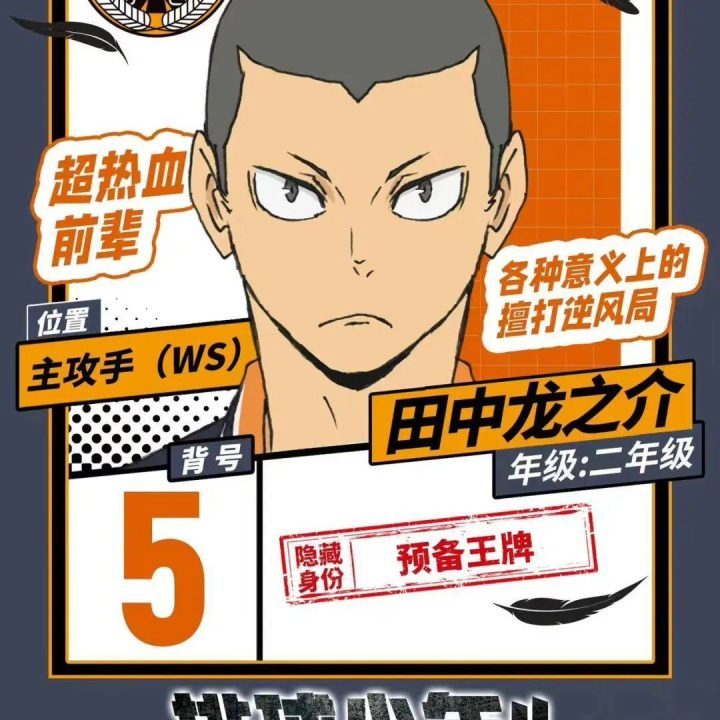 排球少年在垃圾场展开6.15大银幕巅峰对决 -4
