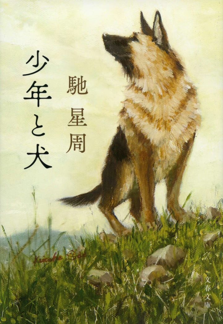 高桥文哉和西野七濑W主演的电影《少年与犬》获得了直木奖改编 -2