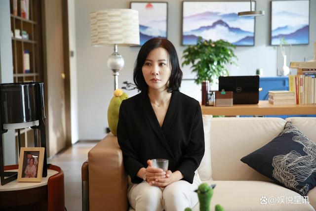 央视演员陶红主演的电影《泪光中的妈妈》今日上映 感人演绎母爱情深 -2