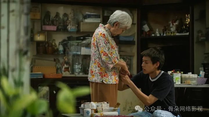《姥姥的外孙》豆瓣高分9分，直击东亚家庭真实写照 -2