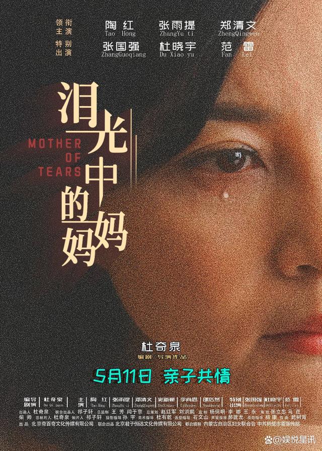 央视演员陶红主演的电影《泪光中的妈妈》今日上映 感人演绎母爱情深 -1