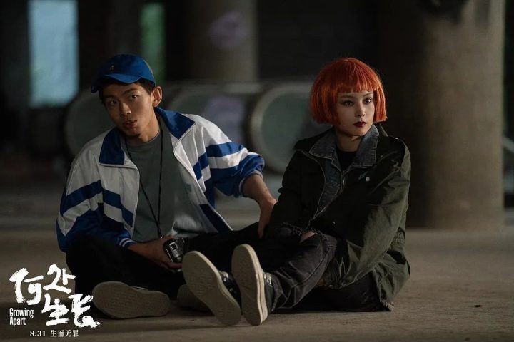 《何处生长》热映，共探原生之痛，启程向阳之旅 -2