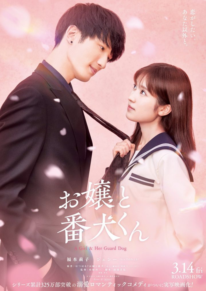 情感“催化剂”樱井海音与《大小姐和看门犬》 -2