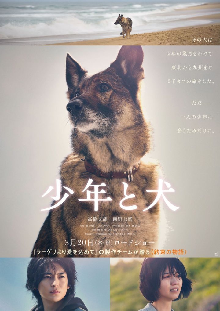 高桥文哉主演《少年与犬》首曝预告 直木奖作品 -1 高桥文哉主演《少年与犬》首曝预告 直木奖作品 -1