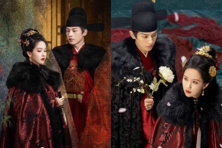 《贵女》迅雷资源BT种子国语版4k超清【HD720P】百度云 -1