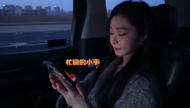 宋轶温柔挥荧光棒，观赏《单依纯演唱会》 -1