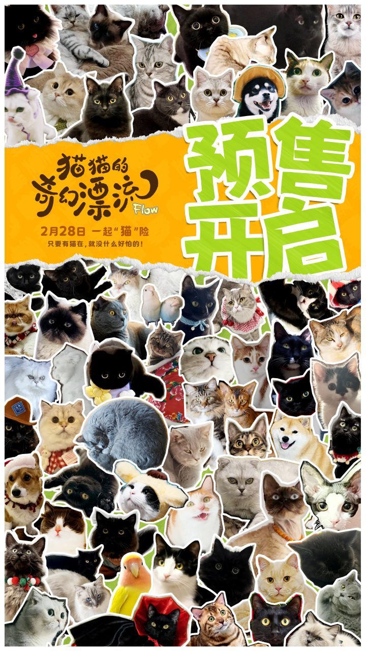 《猫猫的奇幻漂流》阿里云原声版高清版「BD720P/3.9G-MKV」独家资源上线 -2