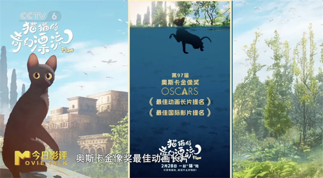奥斯卡提名电影《动物寓言》如何触动人心？ -1