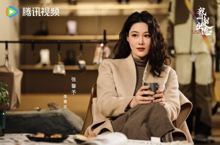 《我叫赵出息》阿里云TC版【HD720P/3.8G-MKV】迅雷资源BT种子原声版 -1