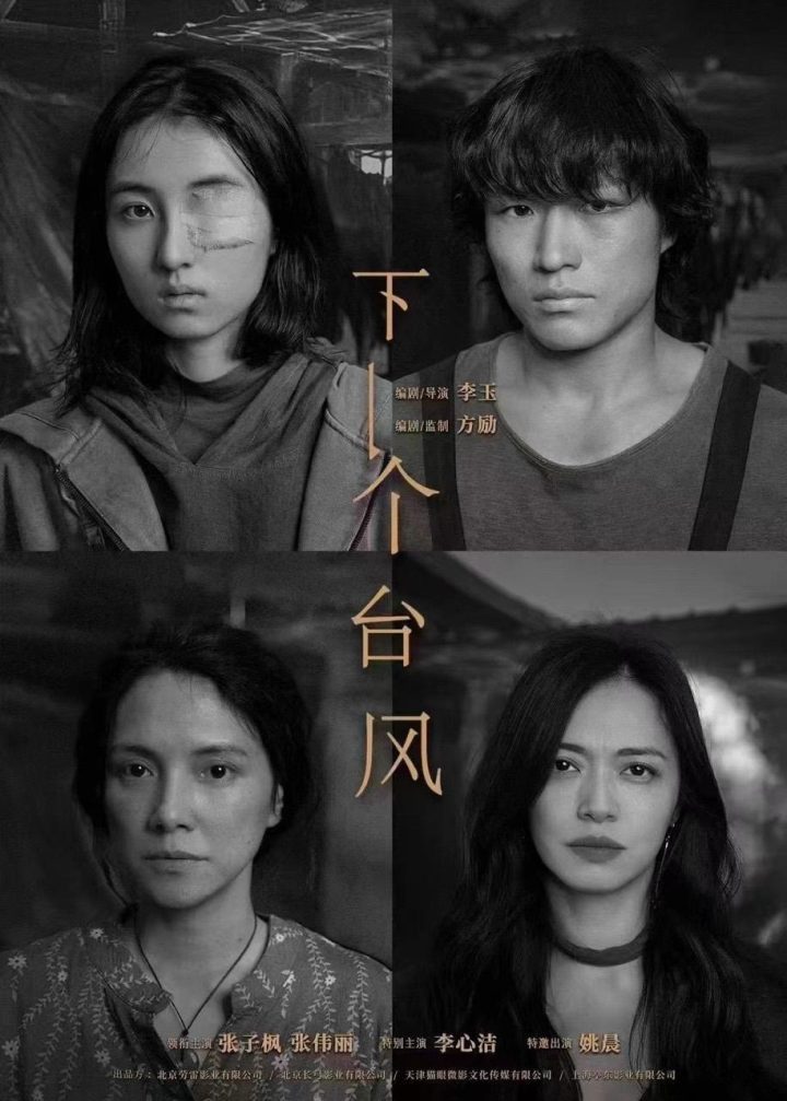 《下一个台风》超清【HD1080P/3.4G-MKV】百度云盘原声版迅雷资源BT种子 -1