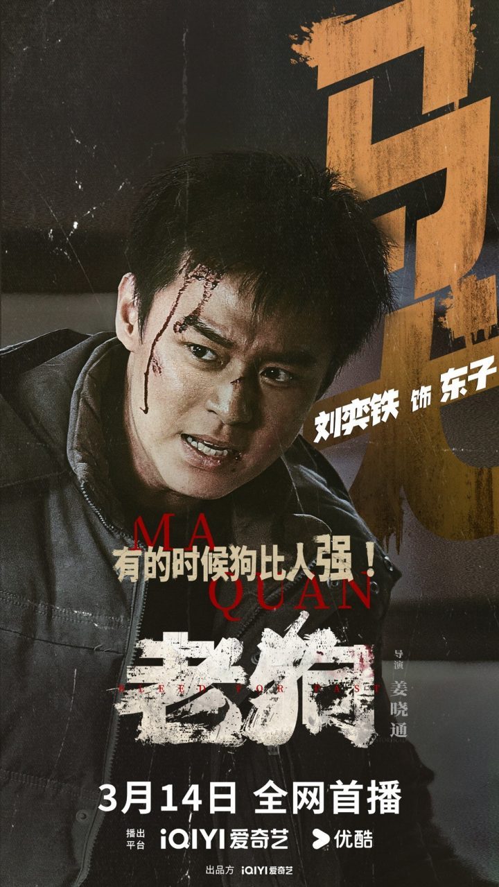 《老狗》硬核犯罪动作片今日首播，姜武与包贝尔展现暴力美学 -3