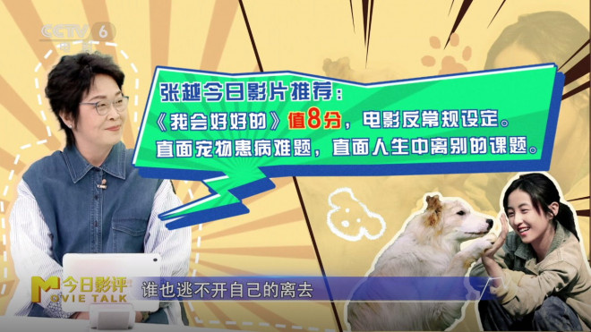 张子枫：《我会好好的》生命告别课 -3