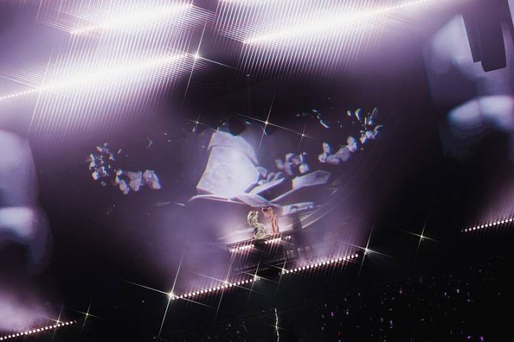 2025年张远《白》巡演深圳站：春茧三重惊喜圆满落幕 -1