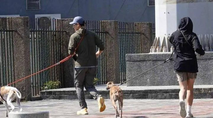 彭于晏新恋情传闻遭经纪人否认：仅是遛狗之交 -1