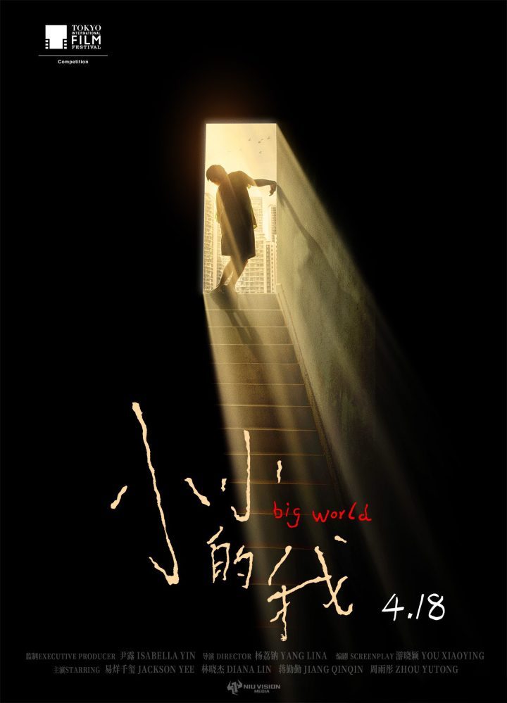 《小小的我》泄漏版原声版百度云迅雷BT资源【BD1080P/3.9G-MKV】 -1
