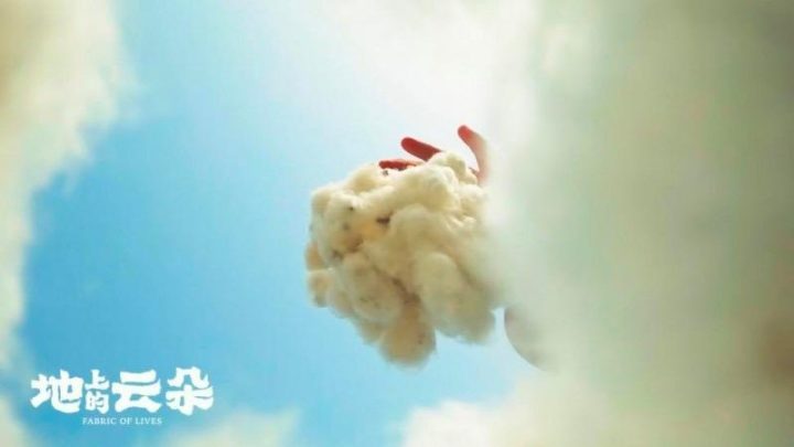 《地上的云朵》（BD1080P/3.6G-MKV）国语中字百度云完整/加长版迅雷资源BT种子 -2
