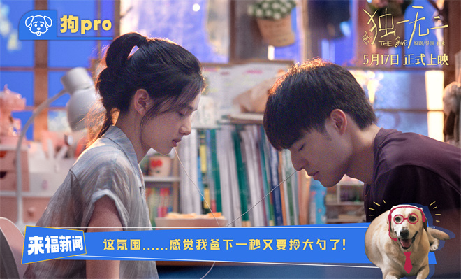《独一无二》4k超清网盘国语版「HD720P/3.8G-MKV」独家资源上线 -2