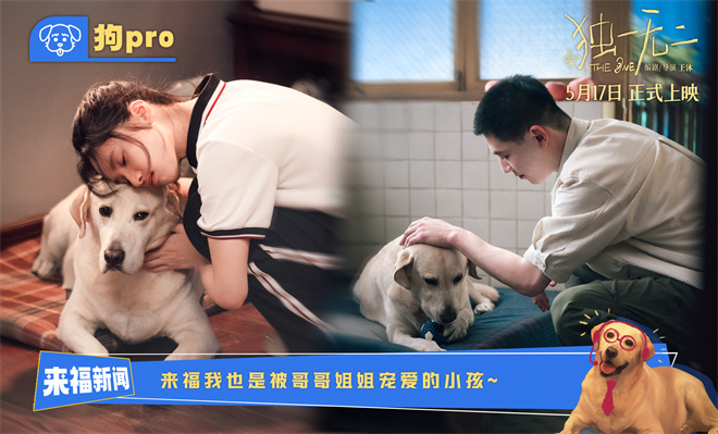 《独一无二》4k超清网盘国语版「HD720P/3.8G-MKV」独家资源上线 -1