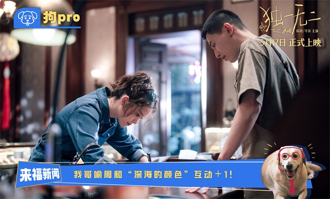 《独一无二》4k超清网盘国语版「HD720P/3.8G-MKV」独家资源上线 -3