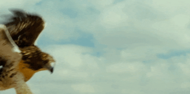 环球佳片展映：5.12起，电影频道带你环游世界 -1