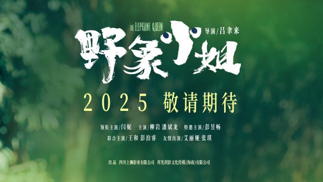 《野象小姐》预告发布：闫妮与彭昱畅银幕母子首秀 -1