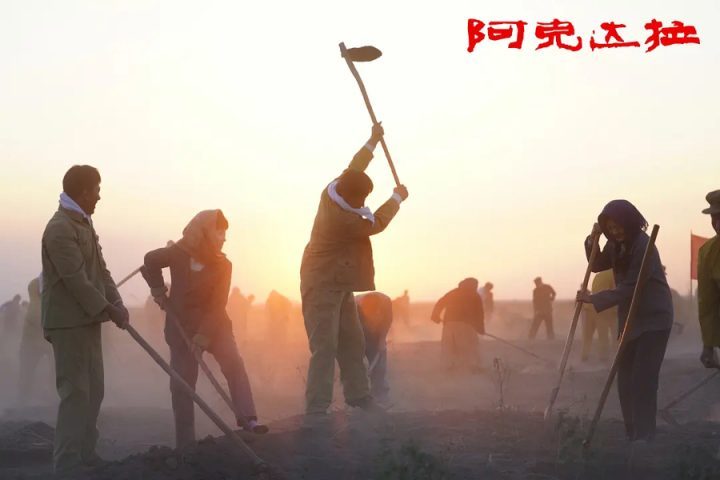 《阿克达拉》上映：李雪健沉稳演绎援疆人信念坚守 -1