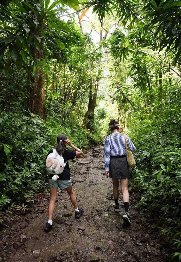 孙俪晒家庭爬山乐：四口同游，等等身高超妈《家庭爬山记》 -2