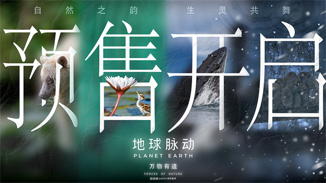 汉斯·季默音乐《地球脉动:万物有道》9月12日上映 -2 汉斯·季默音乐《地球脉动:万物有道》9月12日上映 -2