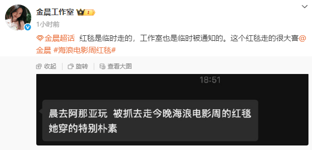 金晨红毯简约风：阿那亚突袭成焦点 -2