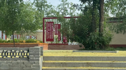 《一棵枣树》:吕文铮导演聊城启拍,献礼乡村振兴 -1 《一棵枣树》:吕文铮导演聊城启拍,献礼乡村振兴 -1