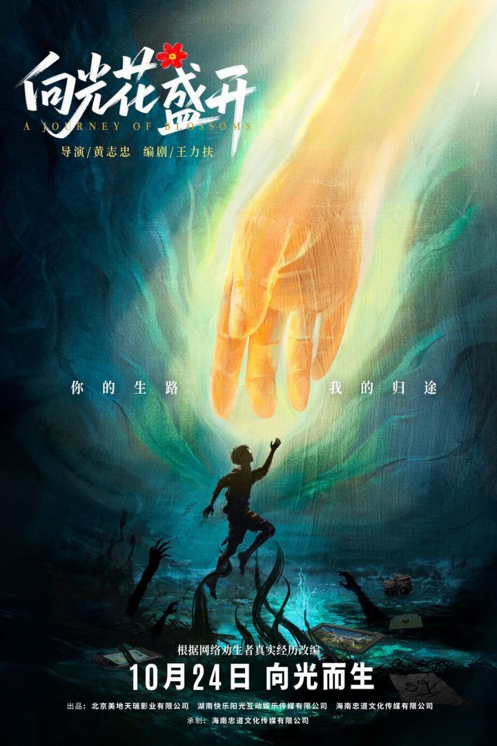 《向光花盛开》10月24日上映:青春成长与治愈的温情诠释 -1 《向光花盛开》10月24日上映:青春成长与治愈的温情诠释 -1