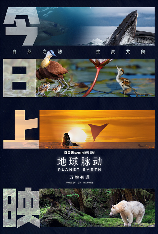 《地球脉动:万物有道》预告:回归自然,与万物同行 -1 《地球脉动:万物有道》预告:回归自然,与万物同行 -1