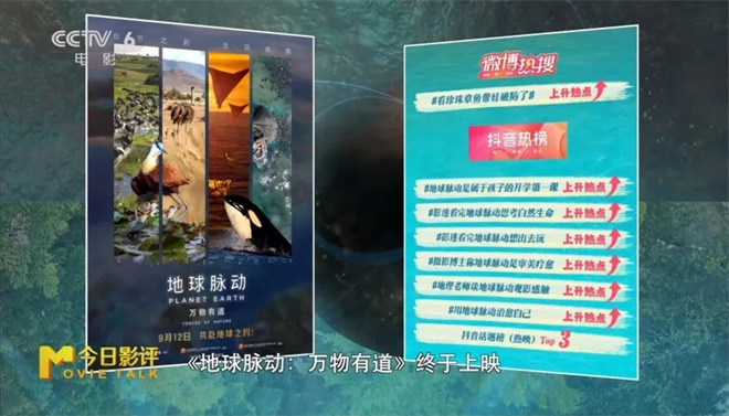 《地球脉动:万物有道》带你领略地球之美 -1 《地球脉动:万物有道》带你领略地球之美 -1